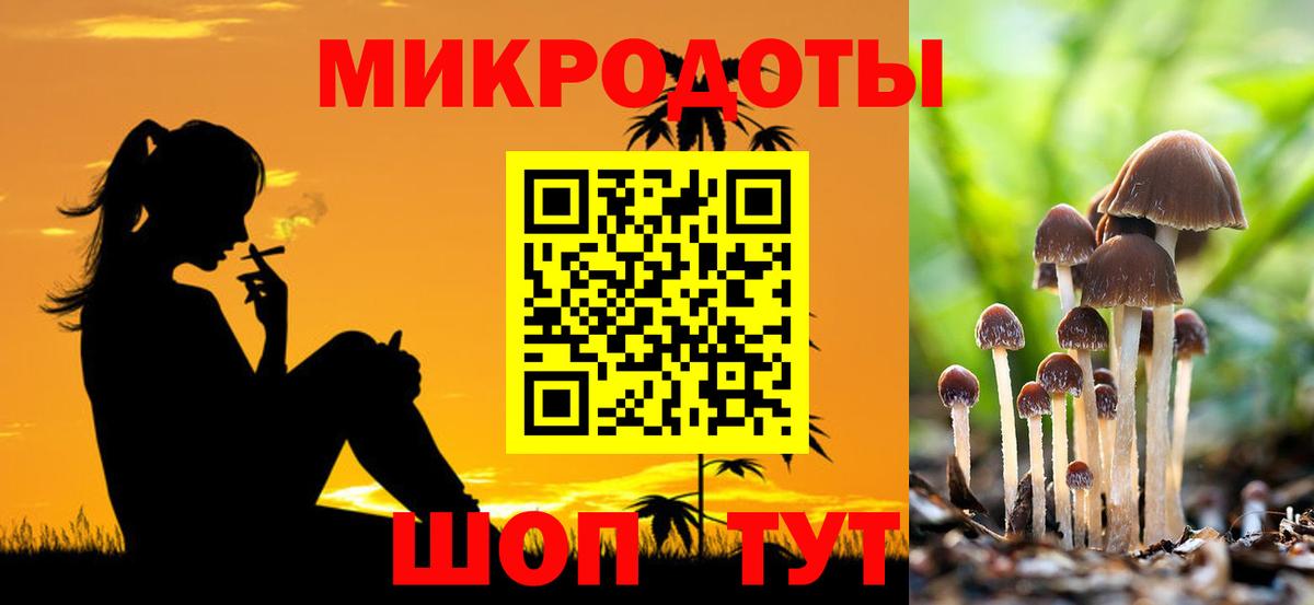 Псилоцибиновые грибы Psilocybe Одинцово