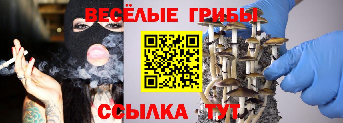 Псилоцибиновые грибы MAGIC MUSHROOMS  Вход с VPN  Псилоцибиновые грибы ЛСД  Одинцово 